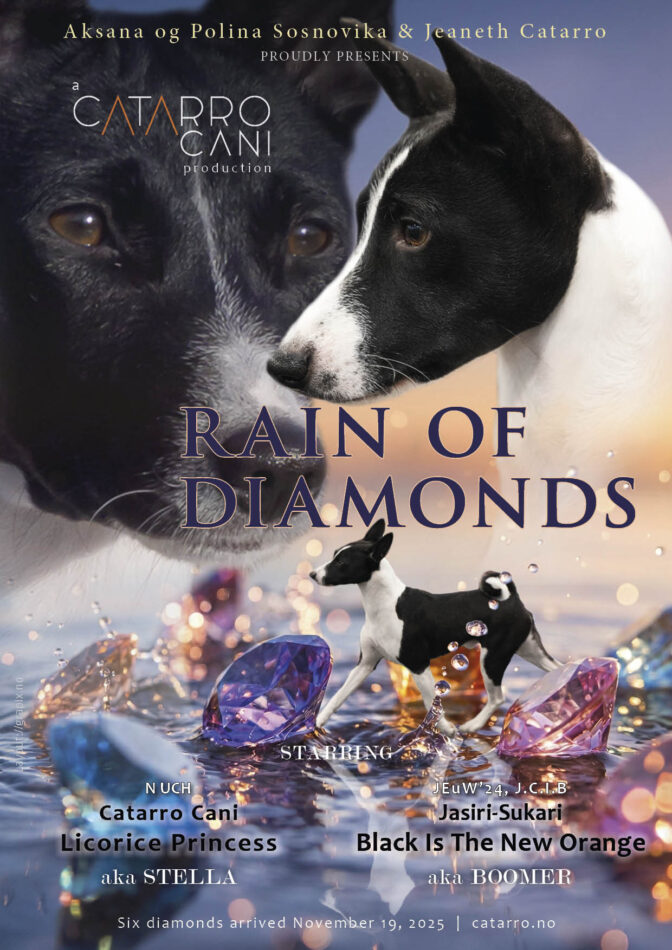 CC-Rain Of Diamonds-25